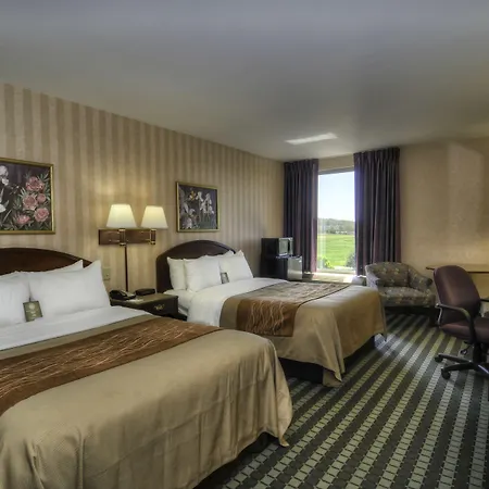 Comfort Inn Airport-2