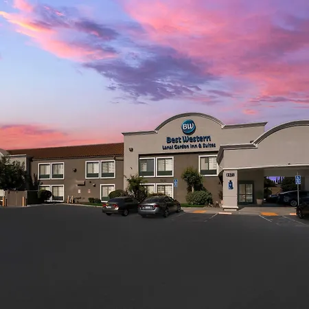 Best Western Lanai Garden Inn & Suites-3