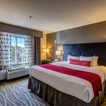 Best Western Plus Nashville Airport Hotel - Bna-3