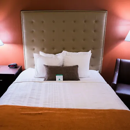 Best Western Northwest Lodge-3