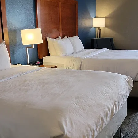 Comfort Inn Bessemer-3