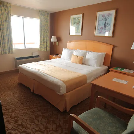 Roomba Inn & Suites - Daytona Beach-2