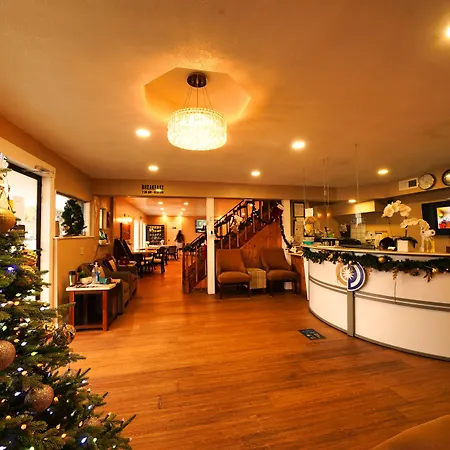 Roomba Inn & Suites - Daytona Beach-3