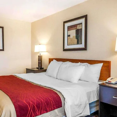 Comfort Inn Avon-Indianapolis West-3