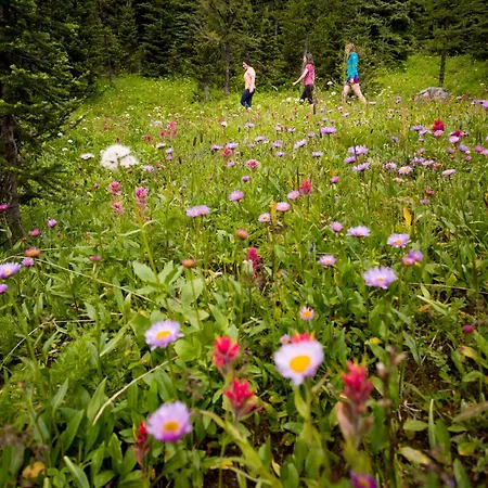 Sunshine Mountain Lodge-3