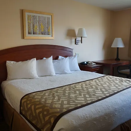 Luxury Inn & Suites-2