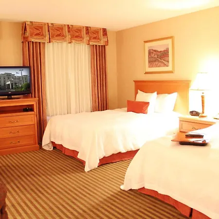 Hampton Inn & Suites Addison-3