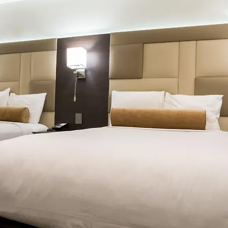 Hotel Xilo Glendale-3