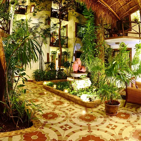 Posada Mariposa Boutique Hotel - 5Th Avenue-2