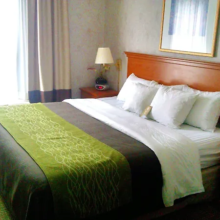 Comfort Inn Huntingdon-3