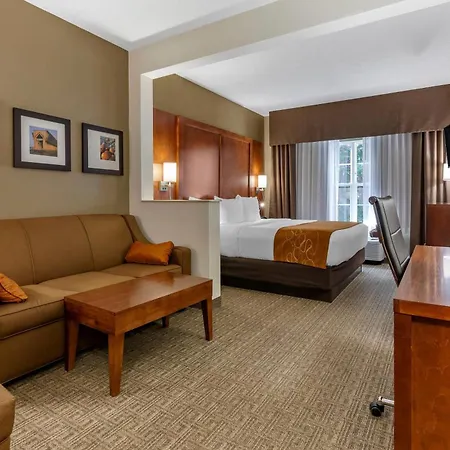 Comfort Suites Marquette-3
