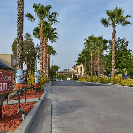 Citrus Suites Redlands Loma Linda Hotel-2