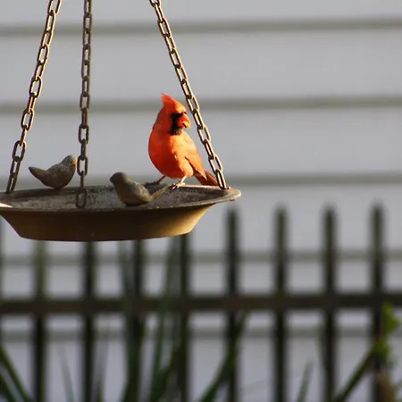 Pecan Tree Inn-2