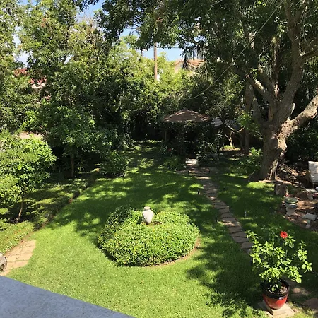 Avenue O Bed And Breakfast-3