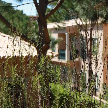 Quinta Pedra Dos Bicos-3