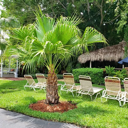Tropical Beach Resorts - Sarasota-3