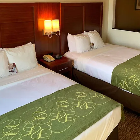 Comfort Suites Texas Ave-3