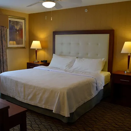 Homewood Suites By Hilton Brighton-3