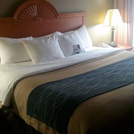 Comfort Inn Downtown - University Area-2