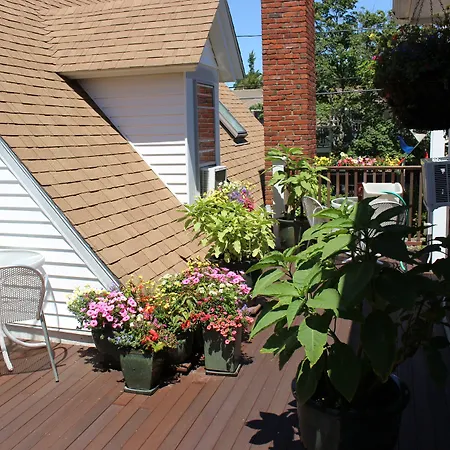 Beaconlight Guest House-3