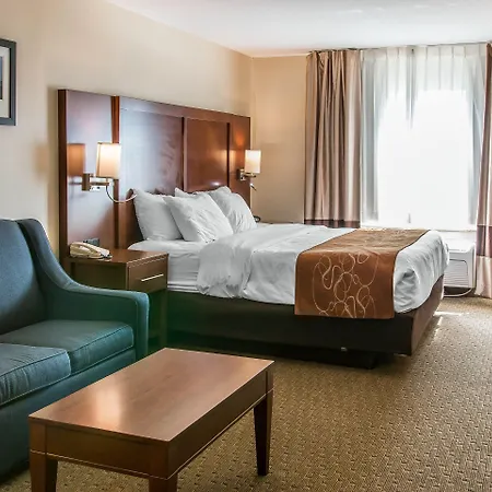 Comfort Suites Wixom - Novi-2