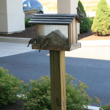 Hampton Inn Lewisburg-2