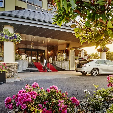 The Rose Hotel-2