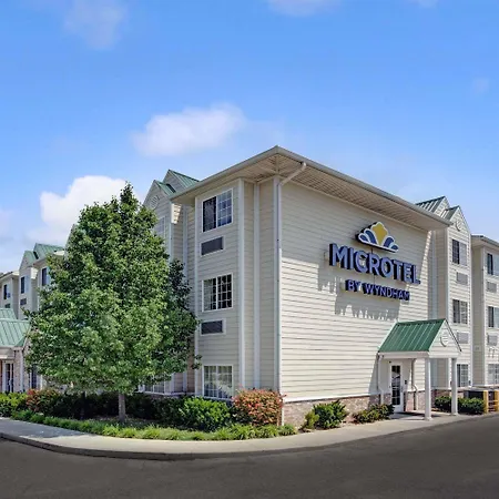 Microtel Inn & Suites By Wyndham Indianapolis Airport-2