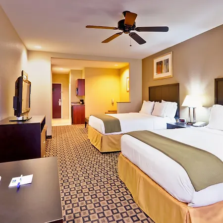 Holiday Inn Express Hotel & Suites Clinton By Ihg-3