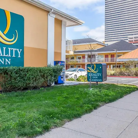 Quality Inn Flamingo-2