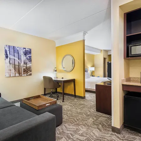 Springhill Suites By Marriott Wheeling Triadelphia Area-3