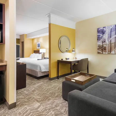 Springhill Suites By Marriott Wheeling Triadelphia Area-2