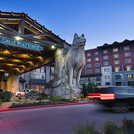 Great Wolf Lodge Grapevine-2