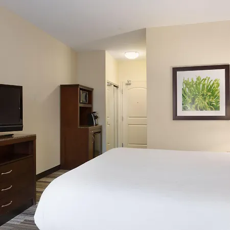 Hilton Garden Inn Huntsville South/Redstone Arsenal-2