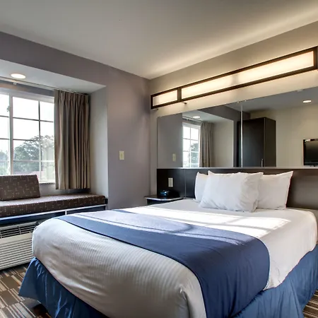 Microtel Inn & Suites By Wyndham Tuscaloosa-3