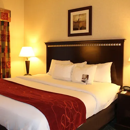 Comfort Suites Canton - Detroit-2