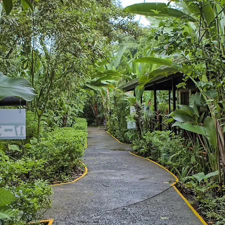 Pachira Lodge-2