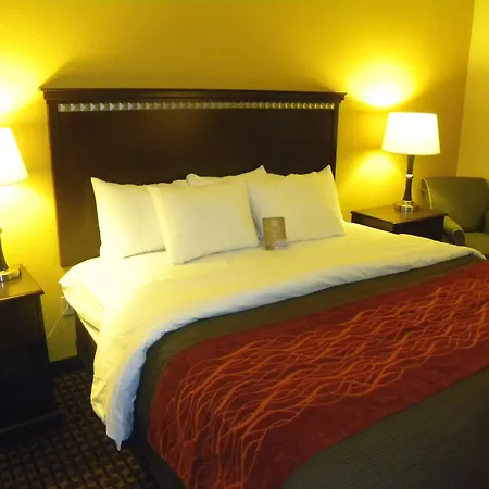 Comfort Inn & Suites Regional Medical Center-3