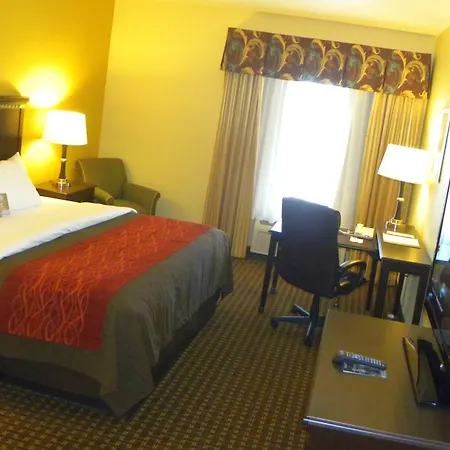 Comfort Inn & Suites Regional Medical Center-2