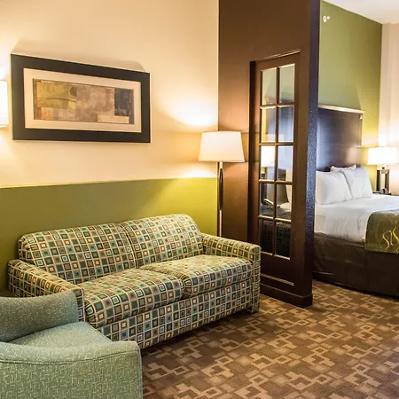 Comfort Suites Lake City-3