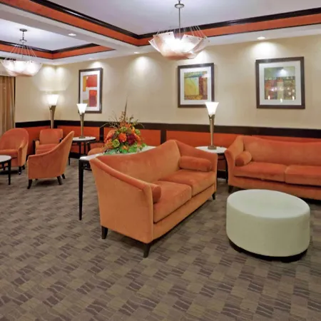 Comfort Inn & Suites Dallas Medical-Market Center-3