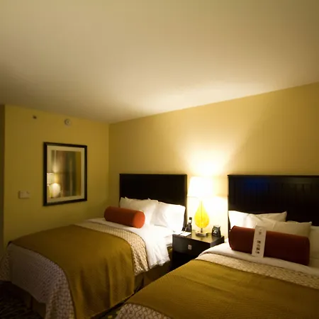 Embassy Suites By Hilton Houston-Energy Corridor-2