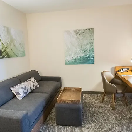 Springhill Suites By Marriott Winston-Salem Hanes Mall-2