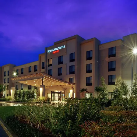 Springhill Suites By Marriott Baton Rouge North / Airport-3