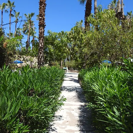 Hotel Oasis-2