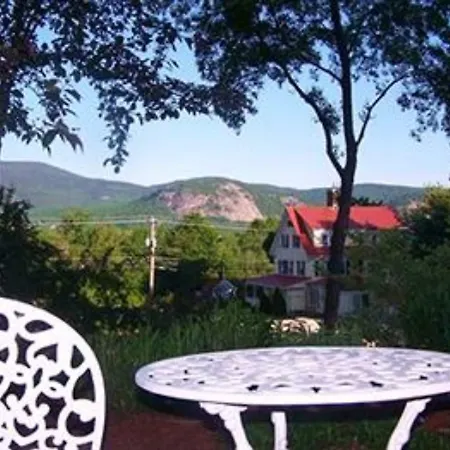 Red Elephant Inn Bed And Breakfast-2