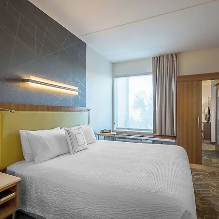 Springhill Suites Tampa North/Tampa Palms-2