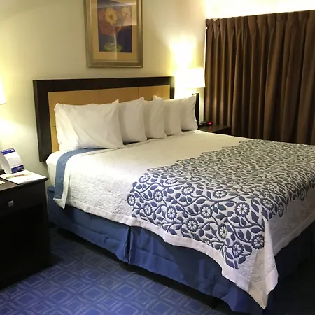 Days Inn & Suites By Wyndham Tampa Fairground-Casino-Ybor-2