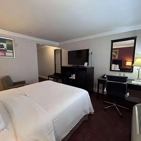 Best Western Burbank Airport Inn-3