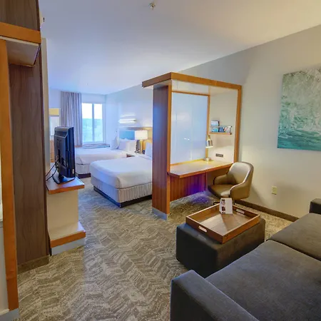 Springhill Suites By Marriott Macon-2